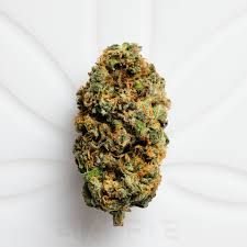 Blue Dream Strain