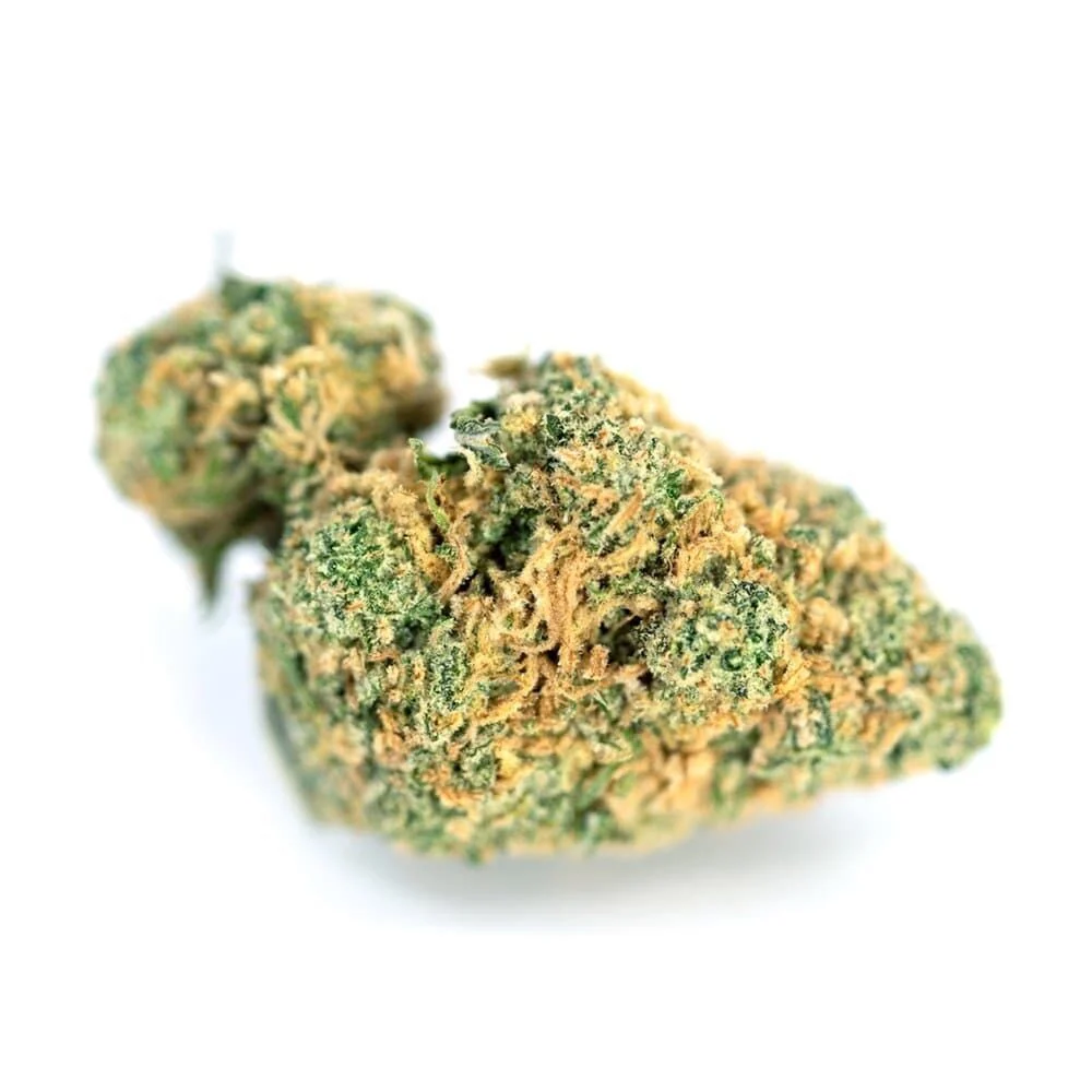 stardust gelato strain
