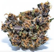 forbidden fruit strain