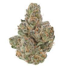 blackberry kush strain