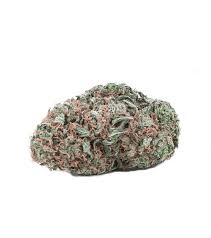 nebula kush strain
